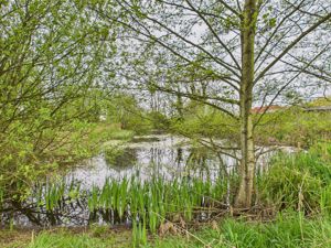 Wildlife Pond- click for photo gallery